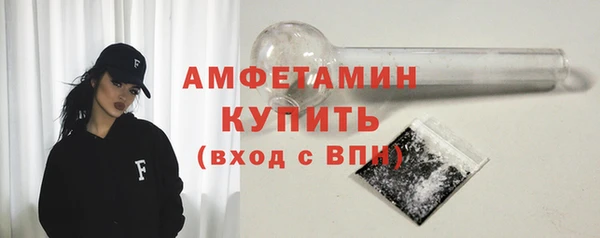 индика Инсар