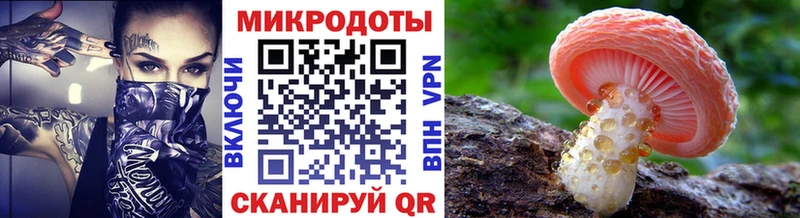 маркетплейс Telegram  Калининград  Псилоцибиновые грибы Magic Shrooms 